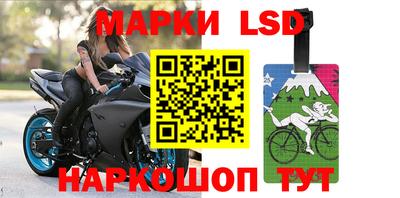 амф Новозыбков
