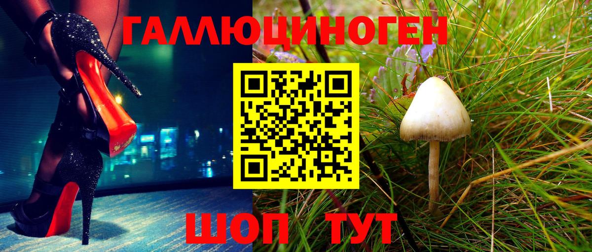 Галлюциногенные грибы мухоморы Сальск