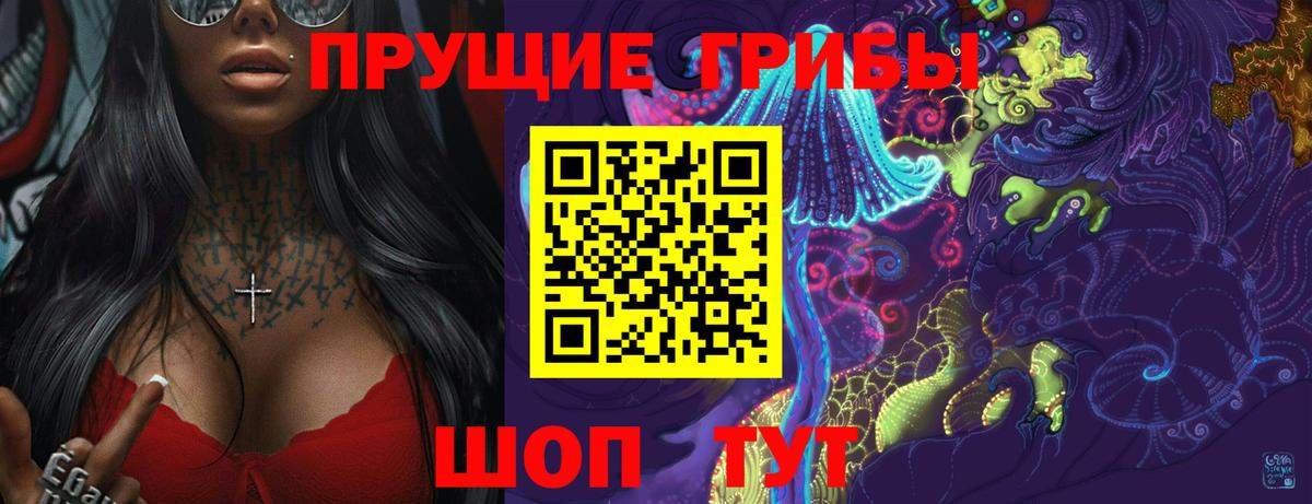 Сальск  хочу   Вход с VPN  Псилоцибиновые грибы прущие грибы 